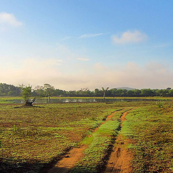 Travel Sri Lanka